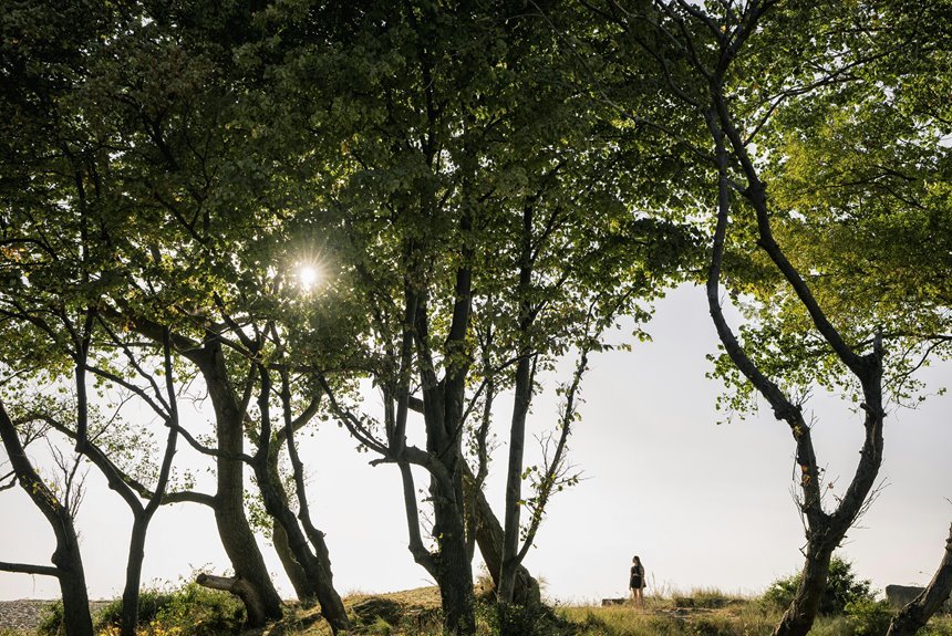 phone number ownership lookup