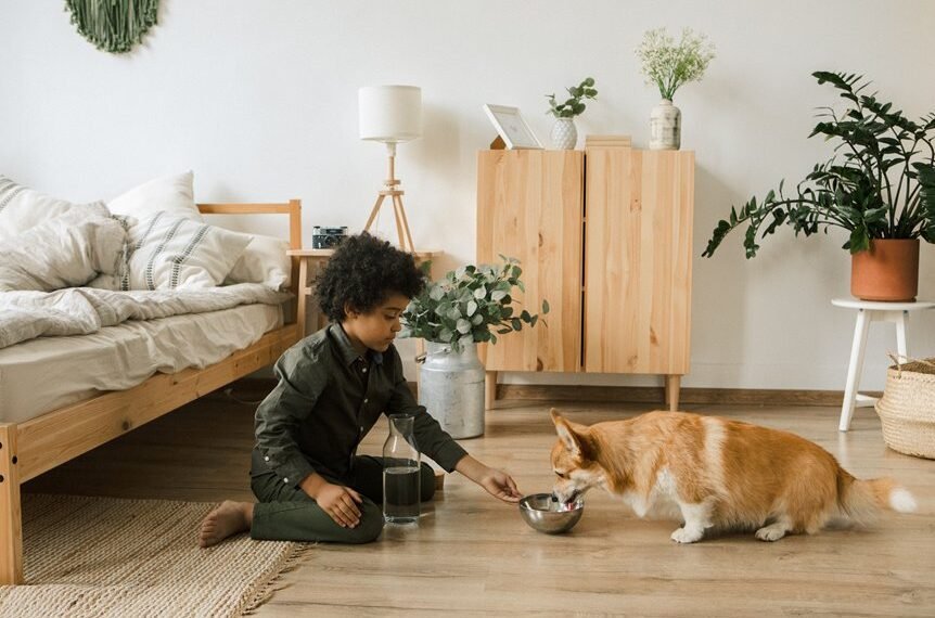 healthy pets happy owners