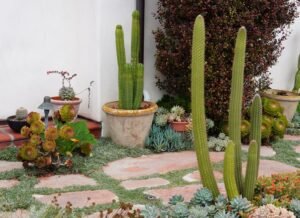 sustainable outdoor gardening ideas