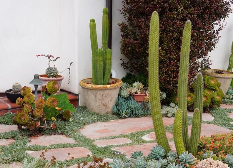 sustainable outdoor gardening ideas