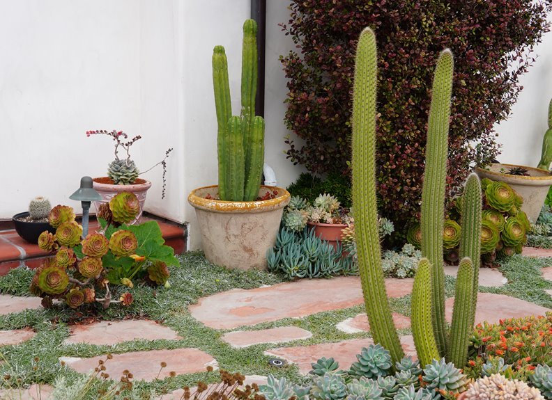 sustainable outdoor gardening ideas